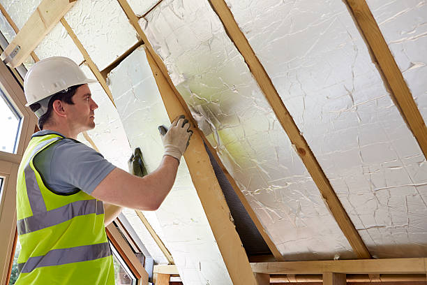 Best Cellulose Insulation in Aurora, NE
